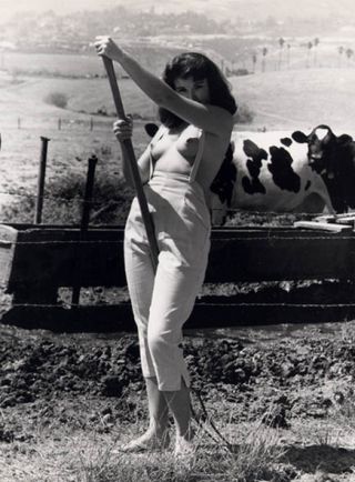 Riding The Old Pitchfork black 320x434 Adult Picture Riding The Old Pitchfork pic