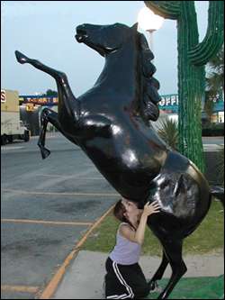 girl kneeling before a bronze statue of a horse in order to appear as if she is sucking horse cock