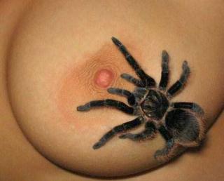 nude with spider
