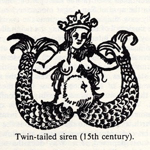 bawdy mermaid with two tails