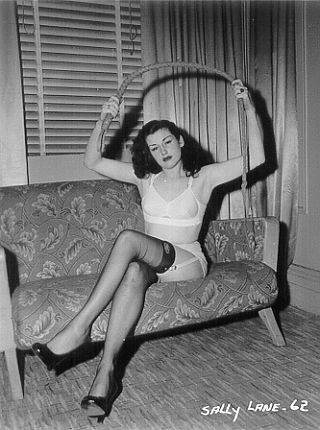 vintage pinup girl with a bullwhip