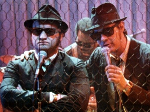 Jake and Elwood Blues behind the chicken wire