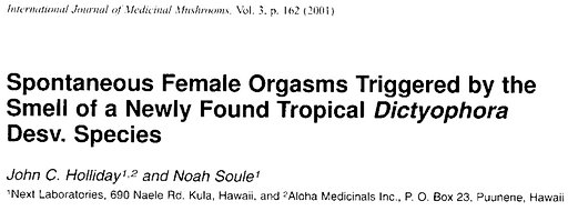 fake orgasm fungus aroma paper abstract