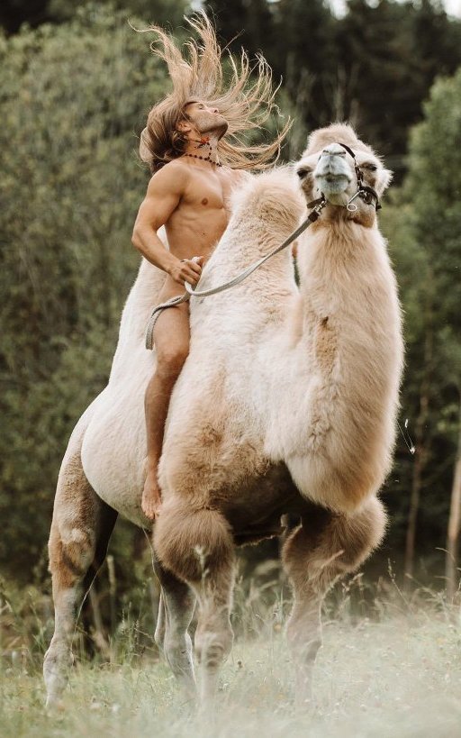 pretty nude man on prettier fuzzy camel