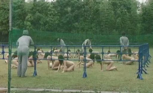 a bunch of naked girls on their knees in a corral