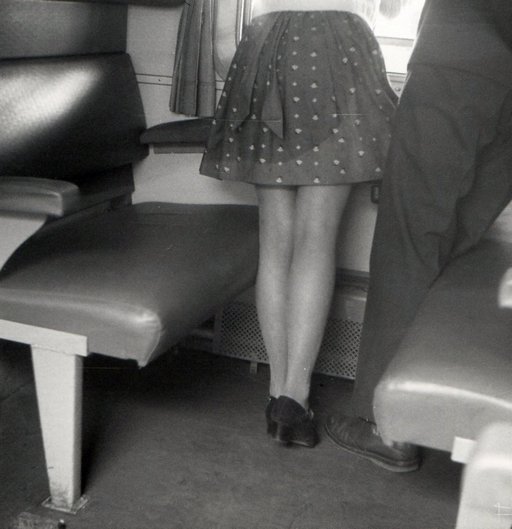 travelling companion with pretty legs in silk stockings