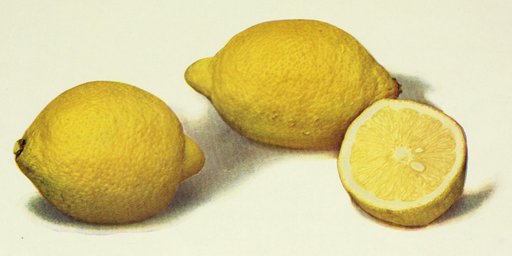 you gotta have lemons if you want to throw a lemon party