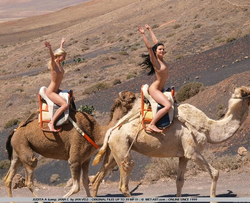 Egyptian Porn Star Riding Camel - A Camel Ride In Giza - ErosBlog: The Sex Blog