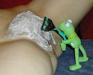 kermit shaves a pussy