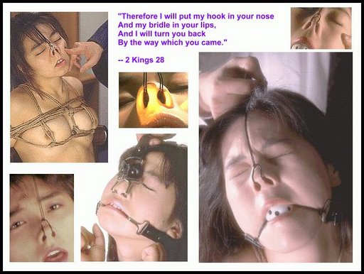 japanese bondage nose hook photos - and a scripture