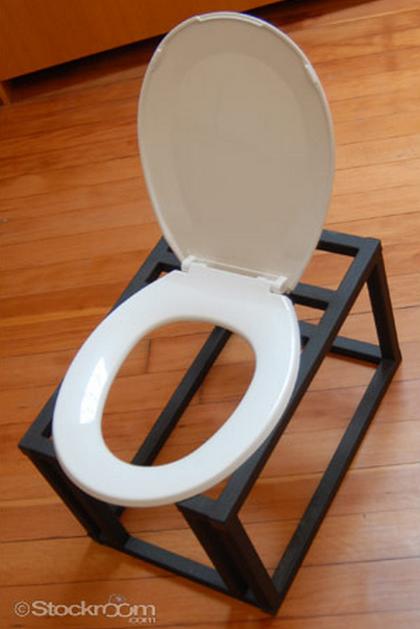 oral sex seat -- a toilet seat on a sturdy metal frame