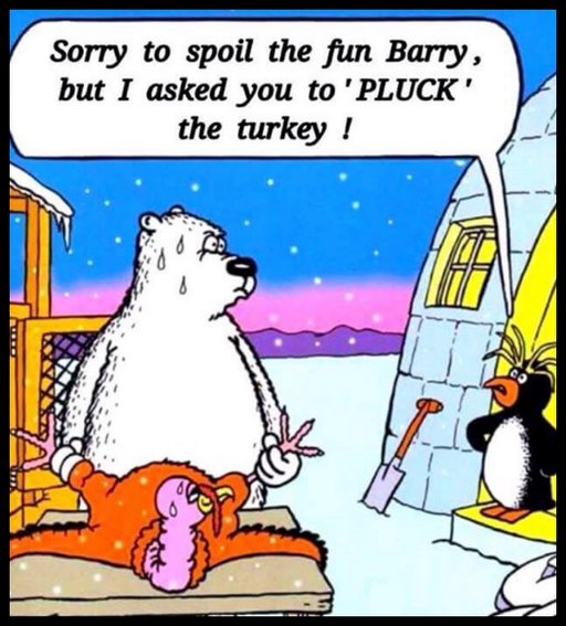 Thanksgiving turkey fucking