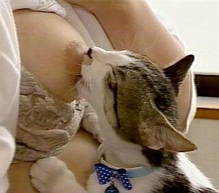 cute kitten licking cute naked breast
