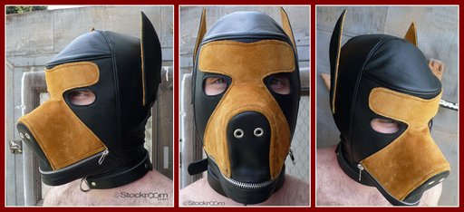 stockroom-two-tone-dog-hood-512