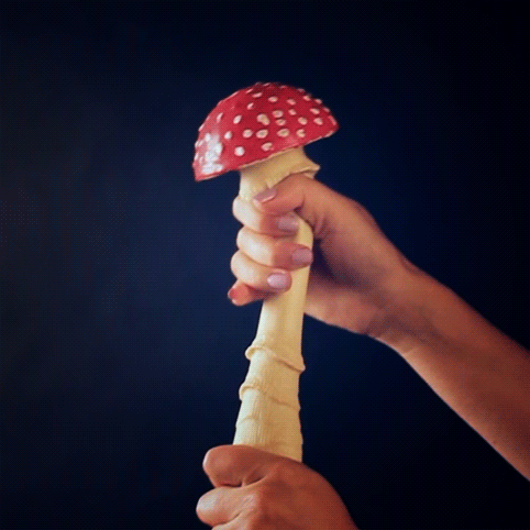 mushroom stretching exercises with a rubber amanita