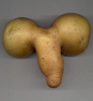 flaccid potato penis