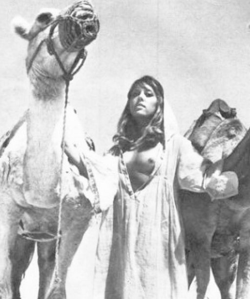 orientalist fantasy western semi nude white woman with bare boobs holding two camels