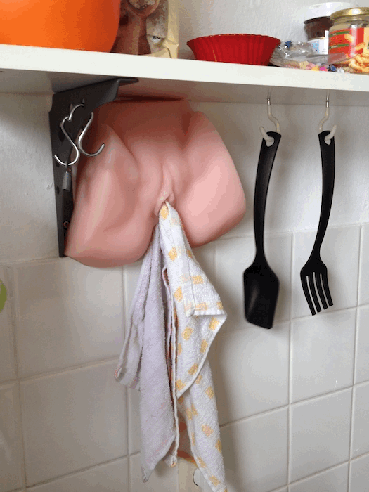 rubber pussy kitchen towel holder