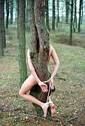 woodland bondage