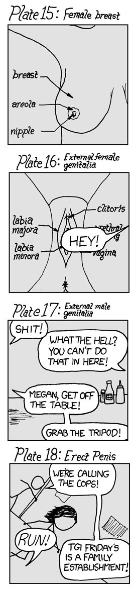 Anatomy Text comic from xkcd