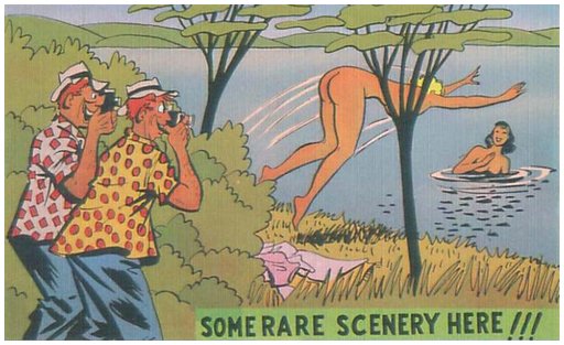 vintage postcard -- sleazy voyeur men with cameras find two women bathing nude in an isolated forest lake