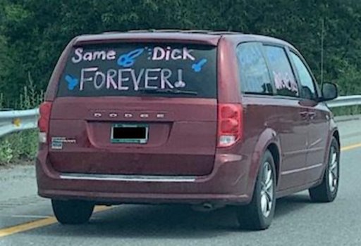 same dick forever prank newlyweds car decoration