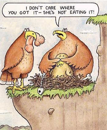 That ain't bird food!