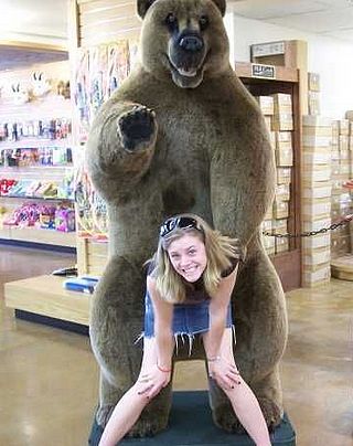 bear buttsex