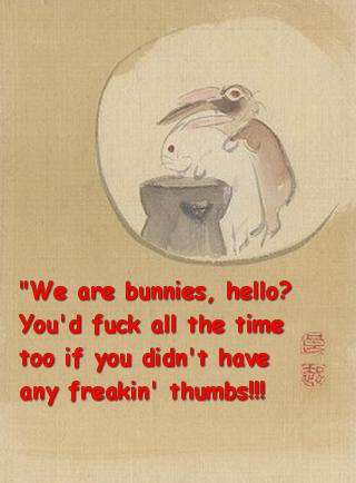 We are bunnies, hello? You\'d fuck all the time too if you didn\'t have any freaking thumbs!