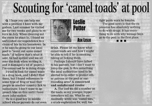 camel-toads