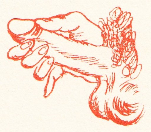 precise penis fingering