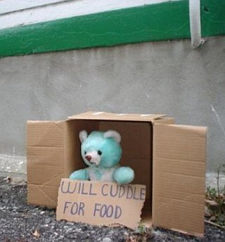 cuddles the bear