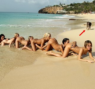 bunch of girls at the beach with dog