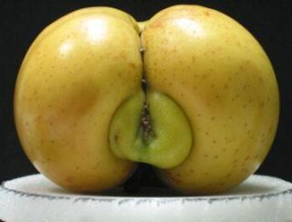 erotic fruit