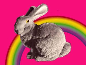 magic comment bunny is hungry
