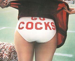 go cocks