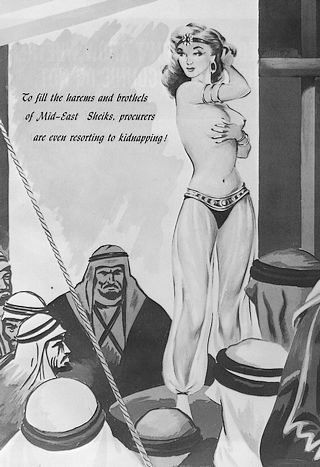 american harem girl kidnapped for mid east