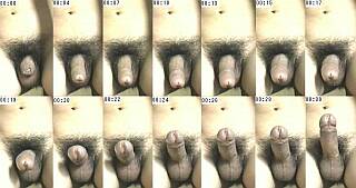 time lapse photos of a penis getting hard