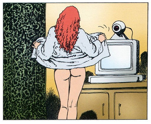 camgirl exposing herself to the internet