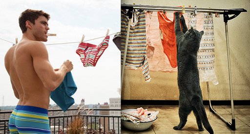 men and cats