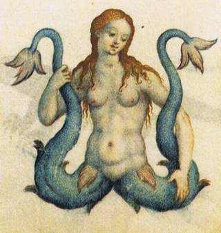 mermaid with two tails and a pussy