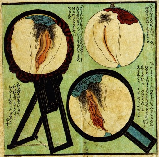 shunga art of three pussy self-inspections