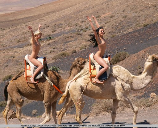 naked-camel-ride-03