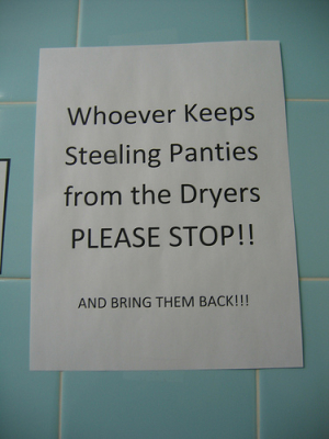 Panty Thief
