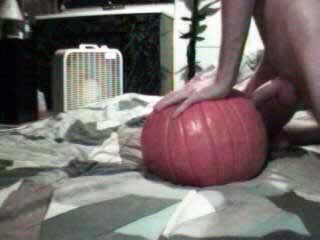 pumpkin sex