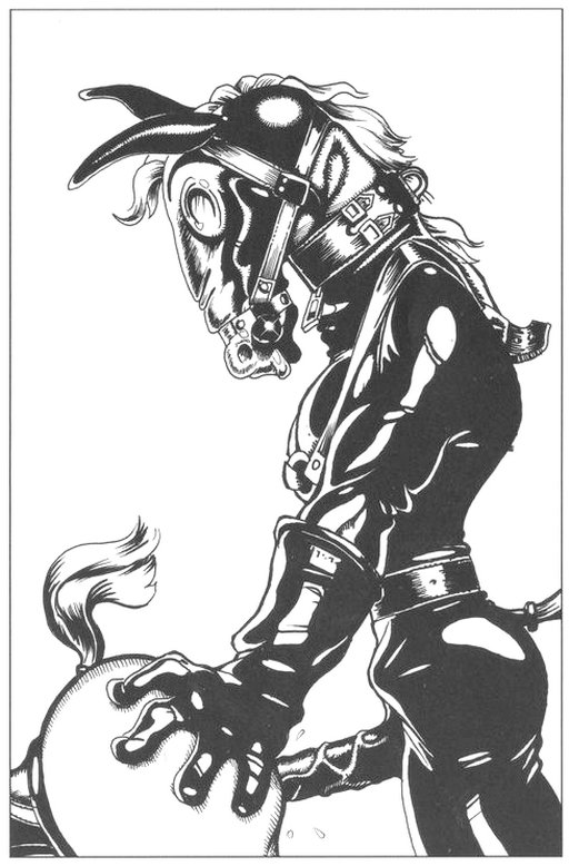 person in pony suit fucking a pony girl