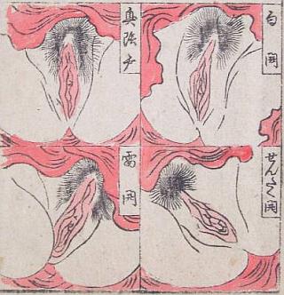 female anatomy shunga