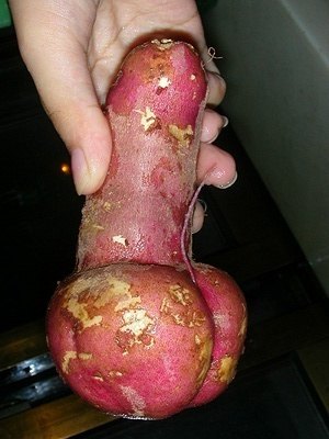 jerking off a potato