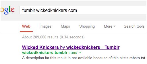 wicked knickers posts no longer in Google