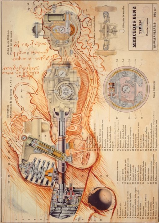 anatomies of male android